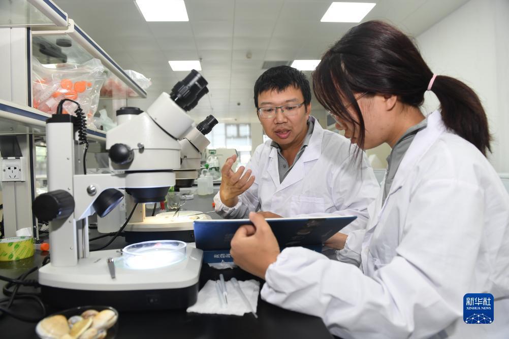 威尼斯登录注册